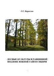 Лесные культуры в равнинной подзоне южной тайги Сибири