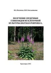 Получение сердечных гликозидов из клеточной культуры Digitalis purpurea L