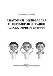 Анатомия, физиология и патология органов слуха, речи и зрения