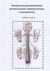 Функциональная морфология периферической нервной системы и анализаторов