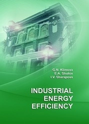 Industrial Energy Efficiency