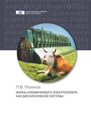 Жизнь алюминиевого электролизера как диссипативной системы