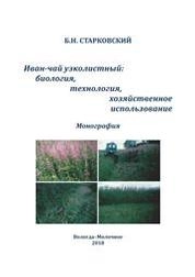Иван-чай узколистный: биология, технология, хозяйственное использование