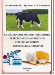 Селекционные методы повышения белковомолочности коров с использованием генетических маркеров