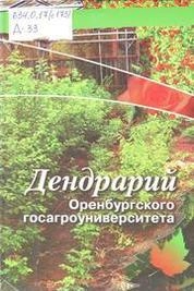 Дендрарий Оренбургского госагроуниверситета