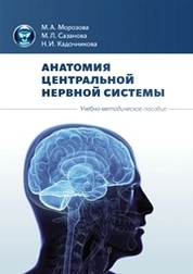 Анатомия центральной нервной системы