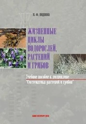Жизненные циклы водорослей, растений и грибов