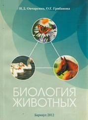 Биология животных
