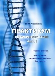 Практикум по биоинформатике. Часть I