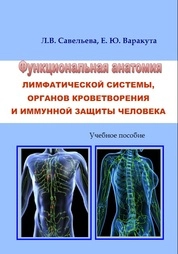 Функциональная анатомия лимфатической системы, органов кроветворения и иммуной защиты человека