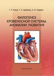 Филогенез кровеносной системы. Аномалии развития