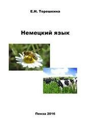 Немецкий язык (профессиональный иностранный язык)