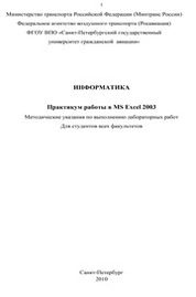 Информатика. Практикум работы в MS Excel 2003
