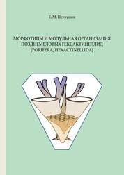 Морфотипы и модульная организация позднемеловых гексактинеллид (Porifera, Hexactinellida)