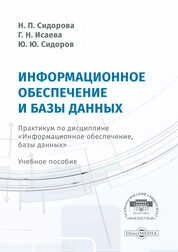 Информационное обеспечение и базы данных : практикум по дисциплине «Информационное обеспечение, базы данных»