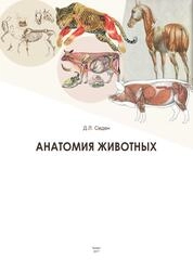 Анатомия животных
