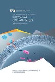 Клеточная сигнализация