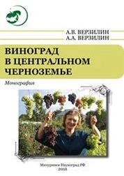 Виноград в Центральном Черноземье