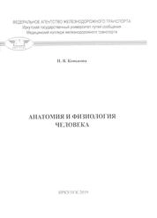 Анатомия и физиология человека: практикум