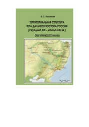 Территориальная структура юга Дальнего Востока России (середина XIX – начало XXI вв.): опыт критического анализа: монография