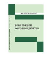 Новые принципы современной дидактики: монография