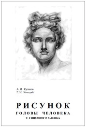 Рисунок головы человека с гипсового слепка