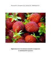 Производство земляники садовой в открытом и защищенном грунтах
