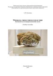 Минералы, горные породы и руды мира. Путеводитель по минералогическому музею