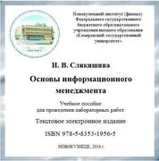 Основы информационного менеджмента