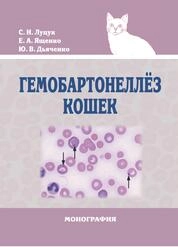 Гемобартонеллез кошек