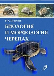 Биология и морфология черепах