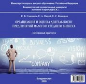 Организация и оценка деятельности предприятий малого и среднего бизнеса
