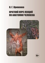 Краткий курс лекций по анатомии человека