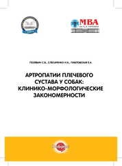 Артропатии плечевого сустава у собак: клинико-морфологические закономерности