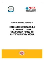 Современные подходы к лечению собак с разрывом передней крестовидной связки