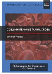 Соединительные ткани. Кровь: Рабочая тетрадь