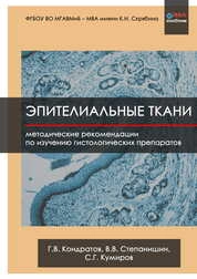 Эпителиальные ткани: Методические рекомендации по изучению гистологических препаратов
