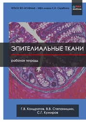 Эпителиальные ткани: Рабочая тетрадь
