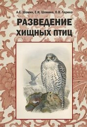 Разведение хищных птиц