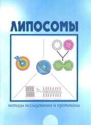 Липосомы: методы исследования и протоколы