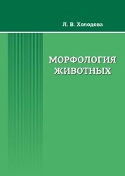 Морфология животных