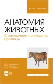 Анатомия животных. Спланхнология и ангиология. Практикум