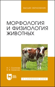 Морфология и физиология животных