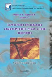 Структурная организация лимфатического русла стенки кишечника