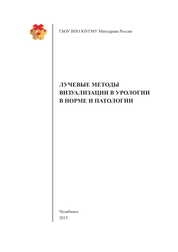 Лучевые методы визуализации в урологии в норме и патологии