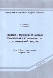 Природа и функции основных химических компонентов растительной клетки: Часть 1. Вода, белки, липиды: Опорные схемы