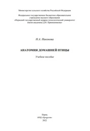 Анатомия домашней птицы