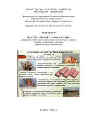 Практикум по курсу «Теория горения и взрыва»