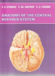 Anatomy of the central nervous system