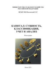 Капитал: сущность, классификация, учет и анализ